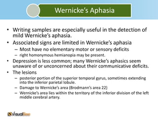 Wernicke’s Aphasia

• Writing samples are especially useful in the detection of
  mild Wernicke’s aphasia.
• Associated signs are limited in Wernicke’s aphasia
   – Most have no elementary motor or sensory deficits
   – right homonymous hemianopia may be present.
• Depression is less common; many Wernicke’s aphasics seem
  unaware of or unconcerned about their communicative deficits.
• The lesions
   – posterior portion of the superior temporal gyrus, sometimes extending
     into the inferior parietal lobule.
   – Damage to Wernicke’s area (Brodmann’s area 22)
   – Wernicke’s area lies within the territory of the inferior division of the left
     middle cerebral artery.
 