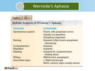 Wernicke’s Aphasia
 