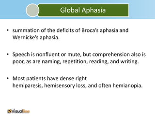 Global Aphasia

• summation of the deficits of Broca’s aphasia and
  Wernicke’s aphasia.

• Speech is nonfluent or mute, but comprehension also is
  poor, as are naming, repetition, reading, and writing.

• Most patients have dense right
  hemiparesis, hemisensory loss, and often hemianopia.
 