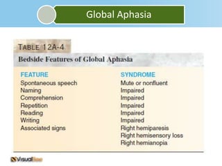 Global Aphasia
 