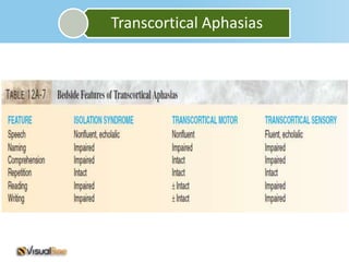 Transcortical Aphasias
 
