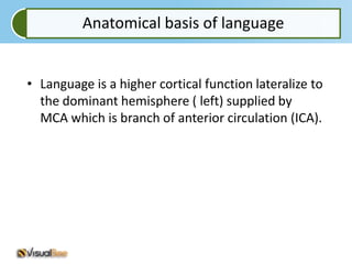 Anatomical basis of language


• Language is a higher cortical function lateralize to
  the dominant hemisphere ( left) supplied by
  MCA which is branch of anterior circulation (ICA).
 