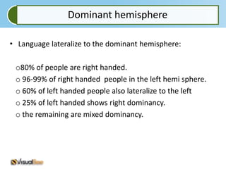 Dominant hemisphere

• Language lateralize to the dominant hemisphere:

 o80% of people are right handed.
 o 96-99% of right handed people in the left hemi sphere.
 o 60% of left handed people also lateralize to the left
 o 25% of left handed shows right dominancy.
 o the remaining are mixed dominancy.
 
