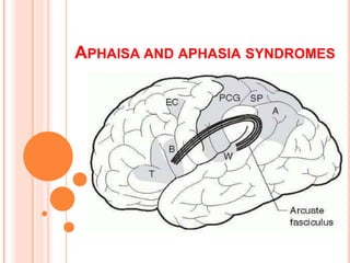 APHAISA AND APHASIA SYNDROMES
 