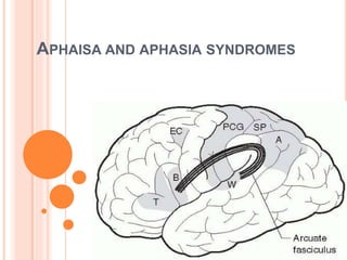 APHAISA AND APHASIA SYNDROMES
 