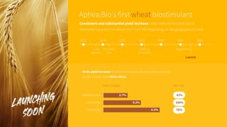 Aphea.Bio's €70M Series C pitch deck | PDF