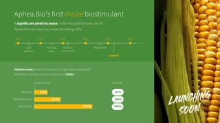 Aphea.Bio's €70M Series C pitch deck | PDF
