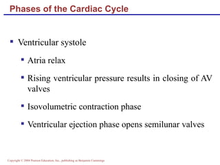 Phases of the Cardiac Cycle Ventricular systole Atria relax  Rising ventricular pressure results in closing of AV valves Isovolumetric contraction phase Ventricular ejection phase opens semilunar valves 