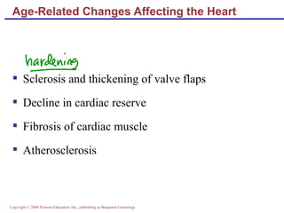 Age-Related Changes Affecting the Heart Sclerosis and thickening of valve flaps Decline in cardiac reserve Fibrosis of cardiac muscle Atherosclerosis 