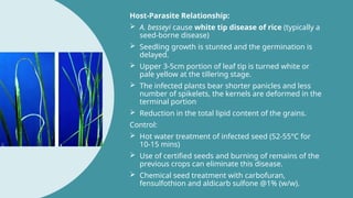 aphelenchids nematode their symptoms , management.pptx