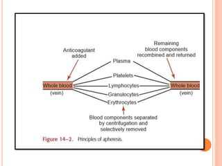 APHERESIS-1.pptx