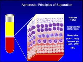 Apheresis | PPTX