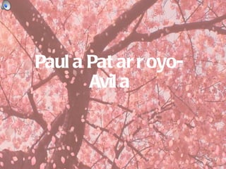 Paula Patarroyo-Avila 