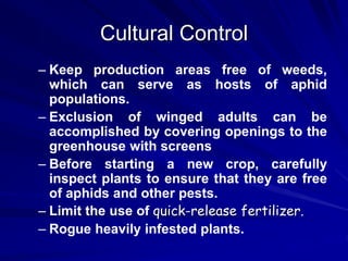 Cultural Control
– Keep production areas free of weeds,
which can serve as hosts of aphid
populations.
– Exclusion of winged adults can be
accomplished by covering openings to the
greenhouse with screens
– Before starting a new crop, carefully
inspect plants to ensure that they are free
of aphids and other pests.
– Limit the use of quick-release fertilizer.
– Rogue heavily infested plants.
 