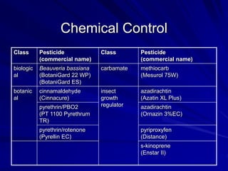 Class Pesticide
(commercial name)
Class Pesticide
(commercial name)
biologic
al
Beauveria bassiana
(BotaniGard 22 WP)
(BotaniGard ES)
carbamate methiocarb
(Mesurol 75W)
botanic
al
cinnamaldehyde
(Cinnacure)
insect
growth
regulator
azadirachtin
(Azatin XL Plus)
pyrethrin/PBO2
(PT 1100 Pyrethrum
TR)
azadirachtin
(Ornazin 3%EC)
pyrethrin/rotenone
(Pyrellin EC)
pyriproxyfen
(Distance)
s-kinoprene
(Enstar II)
Chemical Control
 