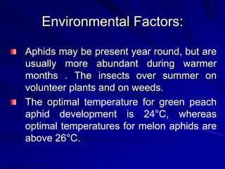 Environmental Factors:
Aphids may be present year round, but are
usually more abundant during warmer
months . The insects over summer on
volunteer plants and on weeds.
The optimal temperature for green peach
aphid development is 24°C, whereas
optimal temperatures for melon aphids are
above 26°C.
 