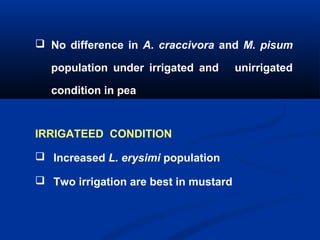  No difference in A. craccivora and M. pisum
population under irrigated and unirrigated
condition in pea
IRRIGATEED CONDITION
 Increased L. erysimi population
 Two irrigation are best in mustard
 