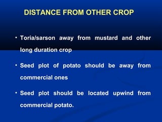 DISTANCE FROM OTHER CROP
• Toria/sarson away from mustard and other
long duration crop
• Seed plot of potato should be away from
commercial ones
• Seed plot should be located upwind from
commercial potato.
 