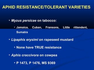 APHID RESISTANCE/TOLERANT VARIETIES
• Myzus persicae on tabocco:
• Jamaica, Cuban, Fransons, Little rittendent,
Sumatra
• Lipaphis erysimi on rapeseed mustard
• None have TRUE resistance
• Aphis craccivora on cowpea
• P 1473, P 1476, MS 9369
 