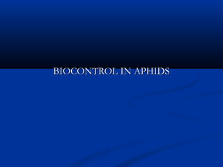 BIOCONTROL IN APHIDSBIOCONTROL IN APHIDS
 