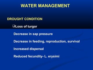 WATER MANAGEMENT
DROUGHT CONDITION
Loss of turgor
Decrease in sap pressure
Decrease in feeding, reproduction, survival
Increased dispersal
Reduced fecundity- L. erysimi
 