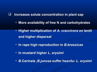  Increases solute concentration in plant sap
• More availability of free N and carbohydrates
• Higher multiplication of A. craccivora on lentil
and higher dispersal
• In rape high reproduction in B.brassicae
• In mustard higher L. erysimi
• B.Carinata ,B.juncea suffer heavilu- L. erysimi
 