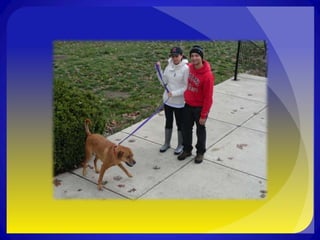 Alpha Phi Omega Run Like Dogs