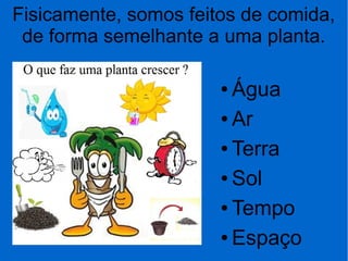 Fisicamente, somos feitos de comida,
de forma semelhante a uma planta.
● Água
● Ar
● Terra
● Sol
● Tempo
● Espaço
 