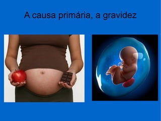 A causa primária, a gravidez
 