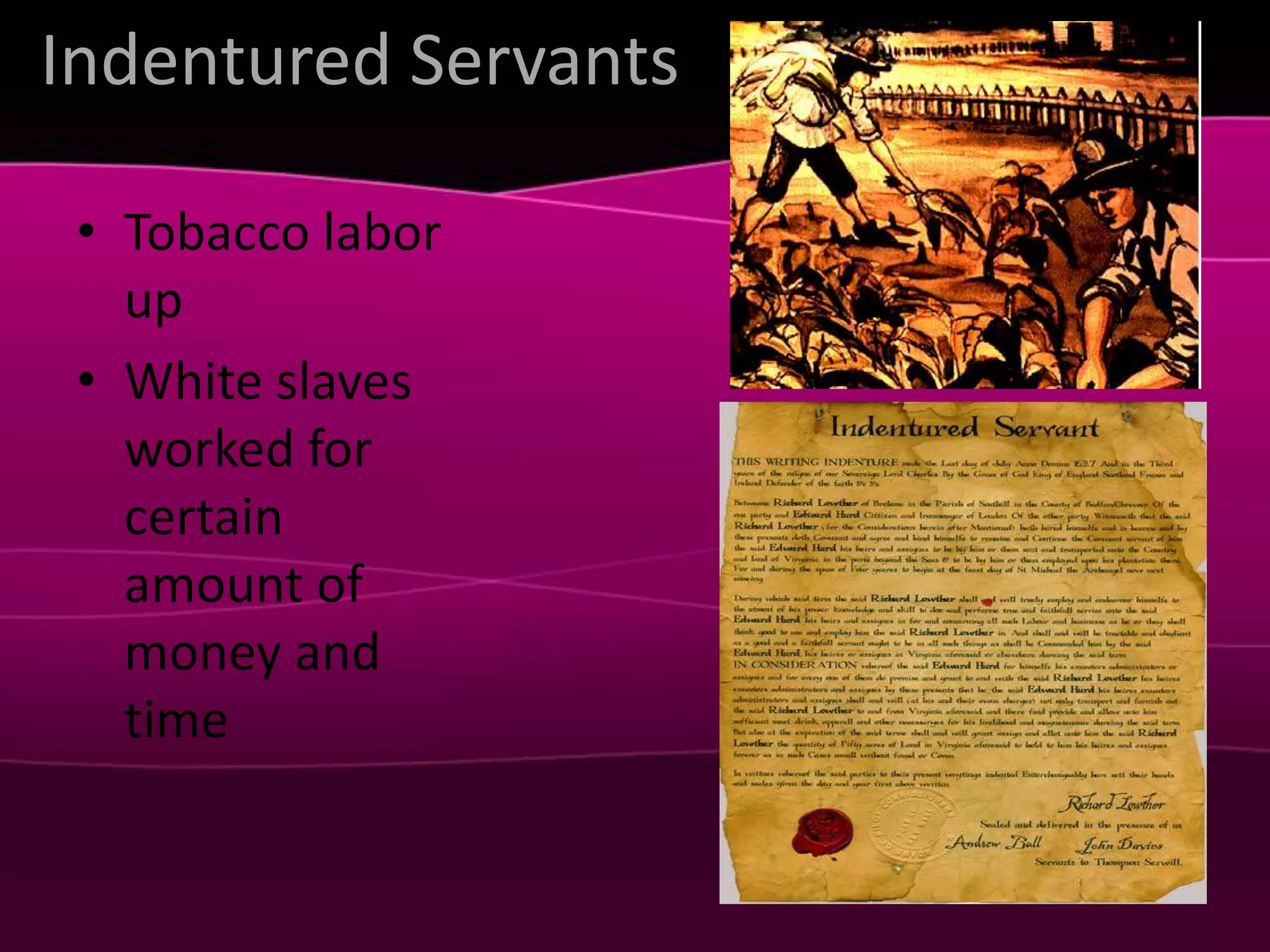 Indentured ServantsTobacco labor upWhite slaves worked for certain amount of money and time