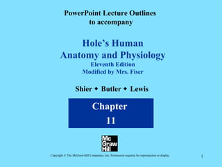 PowerPoint Lecture Outlines
                to accompany

           Hole’s Human
       Anatomy and Physiology
                          Eleventh Edition
                        Modified by Mrs. Fiser

                   Shier  Butler  Lewis

                                Chapter
                                  11


Copyright © The McGraw-Hill Companies, Inc. Permission required for reproduction or display.   1
 