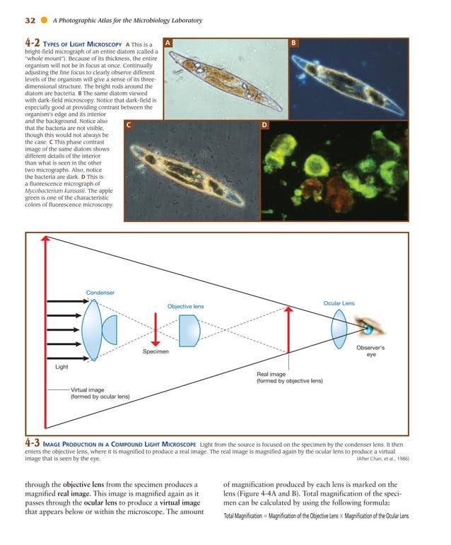 Atlas for the Microbiology Laboratory 4th ed (2011).pdf | Biological ...