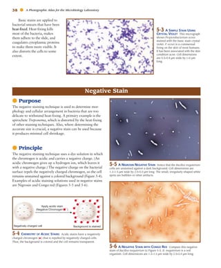 Negative Staining Example Atlas for the Microbiology Laboratory 4th ed (2011).pdf