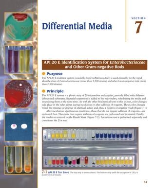 Atlas for the Microbiology Laboratory 4th ed (2011).pdf