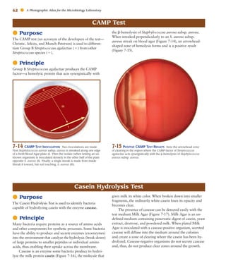 Atlas for the Microbiology Laboratory 4th ed (2011).pdf