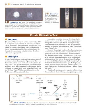Atlas for the Microbiology Laboratory 4th ed (2011).pdf