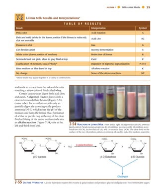 Atlas for the Microbiology Laboratory 4th ed (2011).pdf