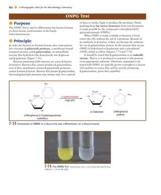 Atlas for the Microbiology Laboratory 4th ed (2011).pdf