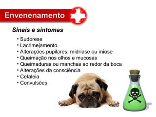 • Sudorese
• Lacrimejamento
• Alterações pupilares: midríase ou miose
• Queimação nos olhos e mucosas
• Queimaduras ou manchas ao redor da boca
• Alterações da consciência
• Cefaleia
• Convulsões
Sinais e sintomasSinais e sintomas
 