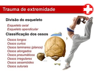 Divisão do esqueleto
Esqueleto axial
Esqueleto apendicular
Classificação dos ossos
Ossos longos
Ossos curtos
Ossos laminares (planos)
Ossos alongados
Ossos pneumáticos
Ossos irregulares
Ossos sesamóides
Ossos suturais
 