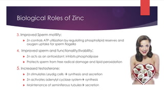 Biological Roles of Zinc

3. Improved Sperm motility:
      Zn controls ATP utilization by regulating phospholipid reserves and
       oxygen uptake for sperm flagella

4. Improved sperm and functionality/livability:
      Zn acts as an antioxidant; inhibits phospholipase
      Protects sperm from free radical damage and lipid peroxidation

5. Increased testosterone:
      Zn stimulates Leydig cells  synthesis and secretion
      Zn activates adenylyl cyclase system synthesis
      Maintenance of seminiferous tubules secretion
 