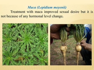 Maca (Lepidium meyenii)
Treatment with maca improved sexual desire but it is
not because of any hormonal level change.
 