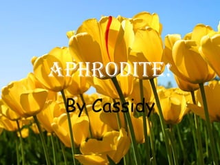 Aphrodite!
 By Cassidy
 