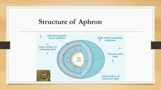 Structure of Aphron
 
