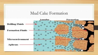 Mud Cake Formation
 