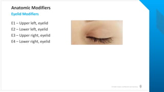 © Health Catalyst. Confidential and Proprietary.
E1 – Upper left, eyelid
E2 – Lower left, eyelid
E3 – Upper right, eyelid
E4 – Lower right, eyelid
Eyelid Modifiers
Anatomic Modifiers
 