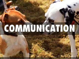 Photo by K J Payne - Creative Commons Attribution-ShareAlike License http://www.flickr.com/photos/34209858@N07 Created with Haiku Deck 
 