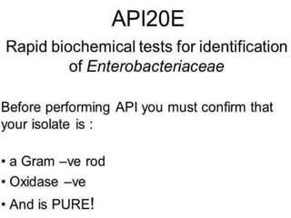Api 20 e | PPTX | Chemistry | Science