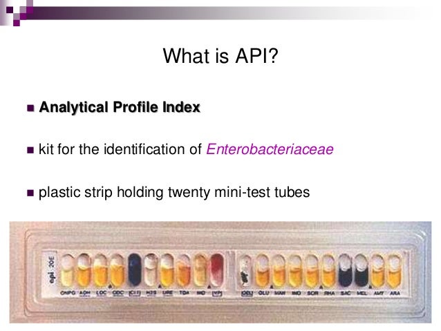 Api 20 e