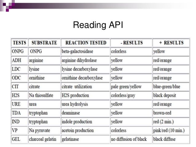 Api 20 e
